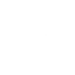 Palacio de Hierro Logo